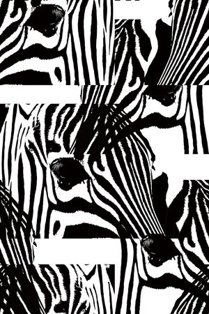 斑马印花华亿平台图片