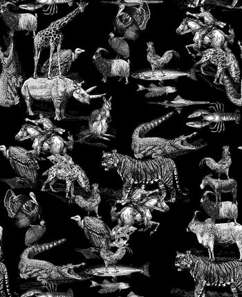 773245-838817011007a