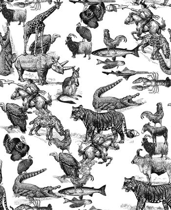 773247-838817011007b