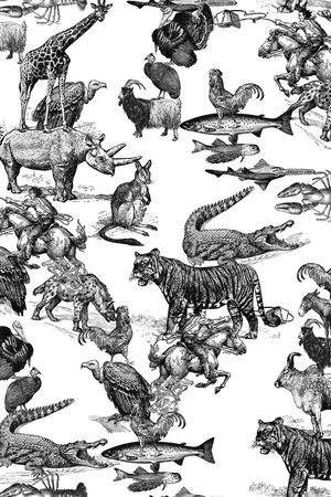 潮牌印花华亿平台图片