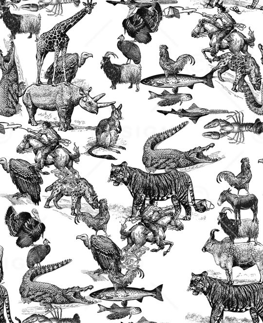 潮牌印花华亿平台图片