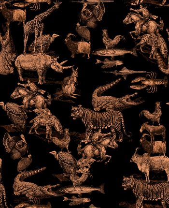 773249-838817011007d