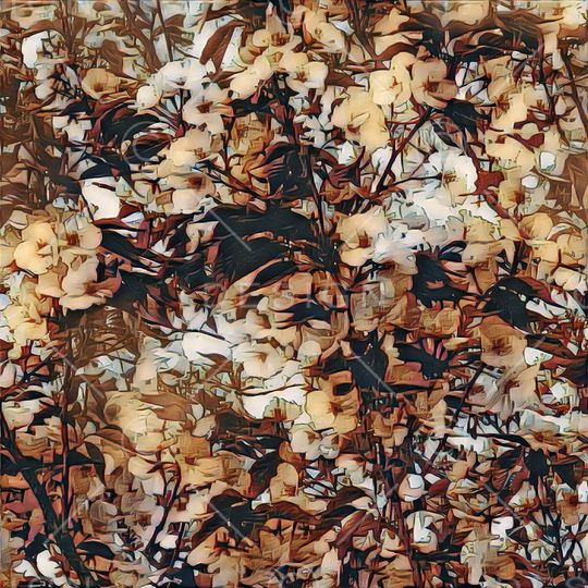 数码印花印花华亿平台图片