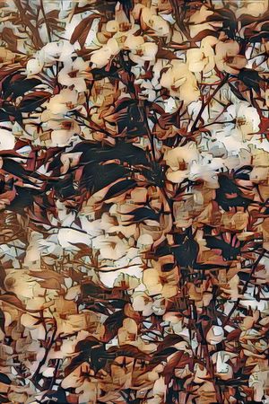 数码印花印花华亿平台图片