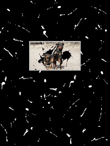 773683-838817011102a