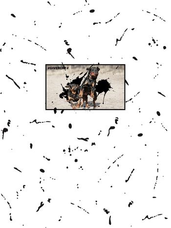 773684-838817011102b