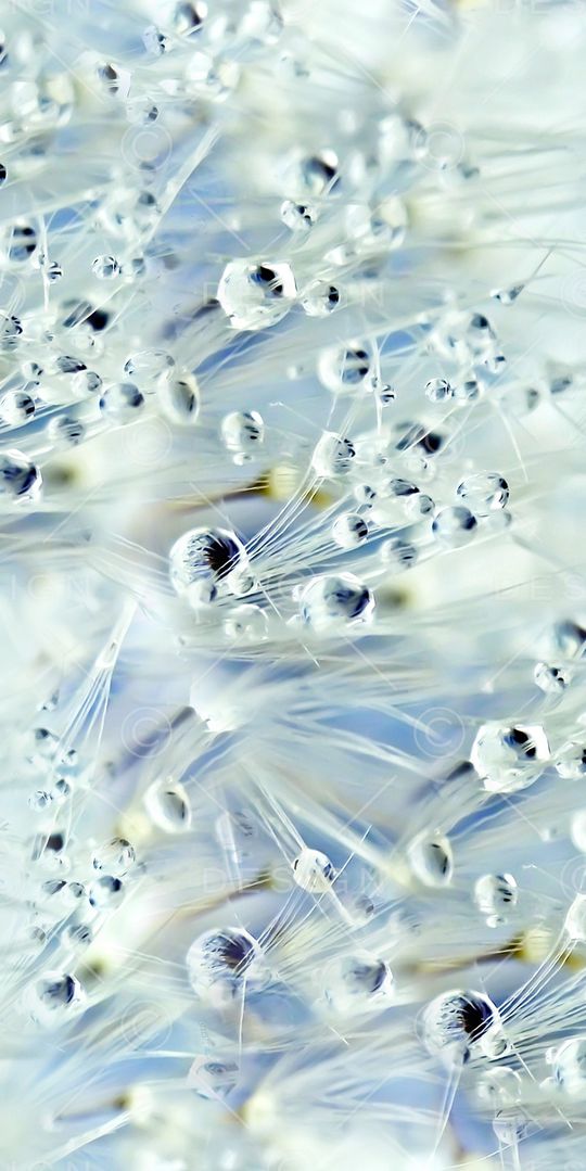 露珠印花华亿平台图片