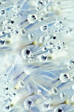 露珠印花华亿平台图片