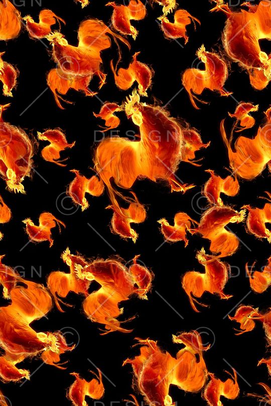 火焰鸡印花华亿平台图片