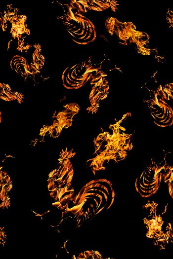 773765-火焰鸡鸡年火苗