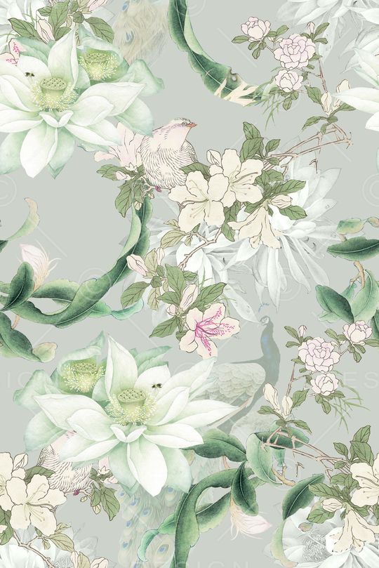 国画花卉、花鸟、水墨画、中国风印花华亿平台图片