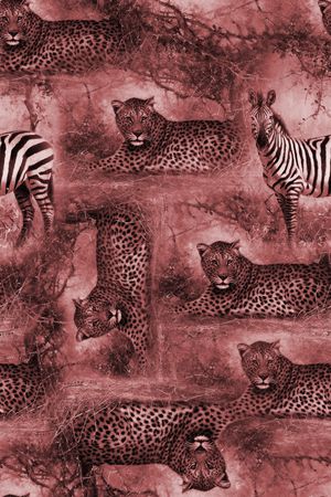 动物迷彩印花华亿平台图片