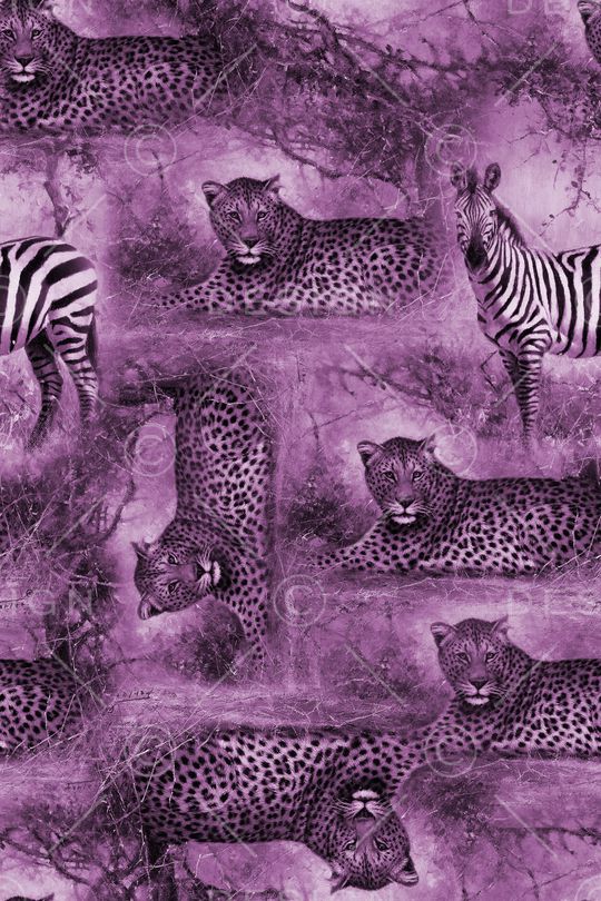 动物迷彩印花华亿平台图片