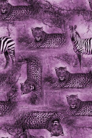 动物迷彩印花华亿平台图片