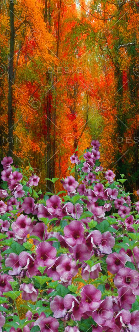 森林印花华亿平台图片