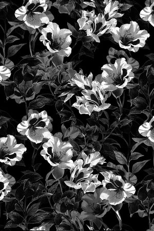 纪梵希印花华亿平台图片