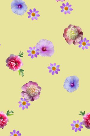 textile印花华亿平台图片