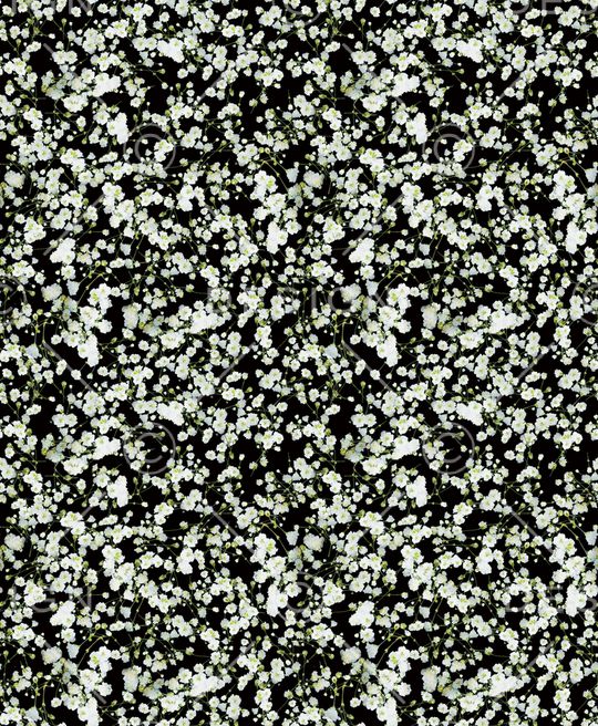 纪梵希givenchy印花华亿平台图片