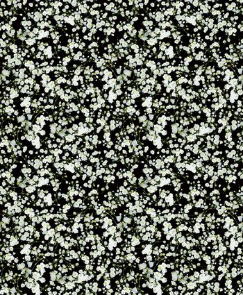 纪梵希givenchy印花华亿平台图片