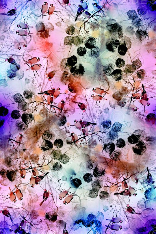 叶子印花华亿平台图片