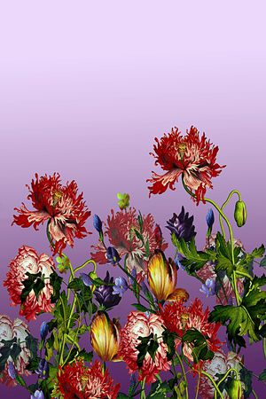 女装印花华亿平台图片