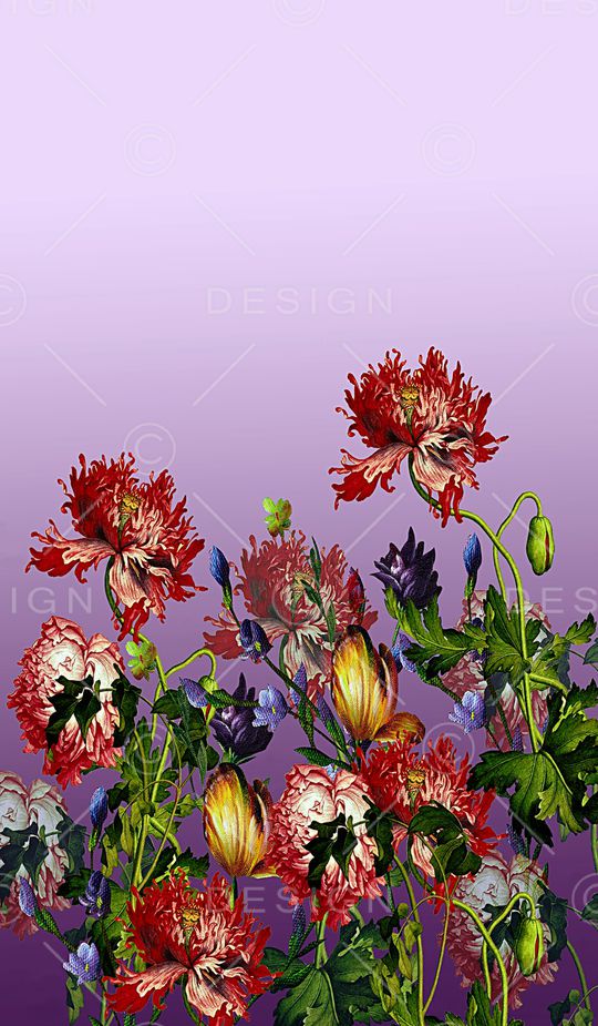 女装印花华亿平台图片