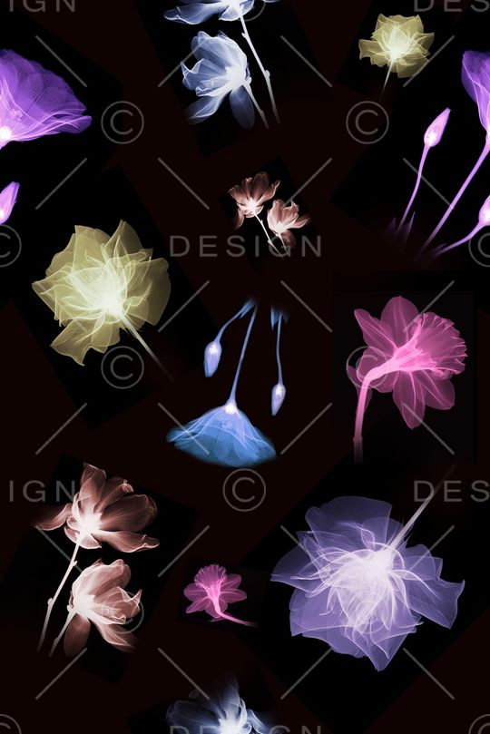 乱花印花华亿平台图片