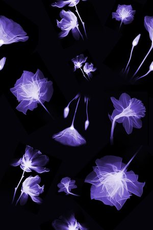 乱花印花华亿平台图片