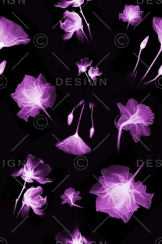 乱花印花华亿平台图片