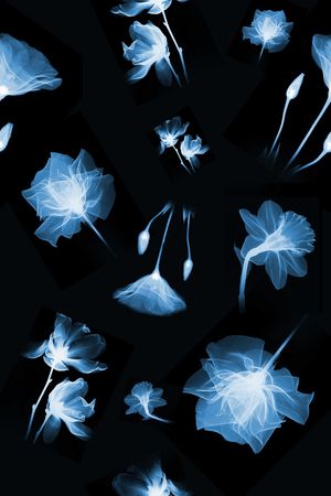 乱花印花华亿平台图片