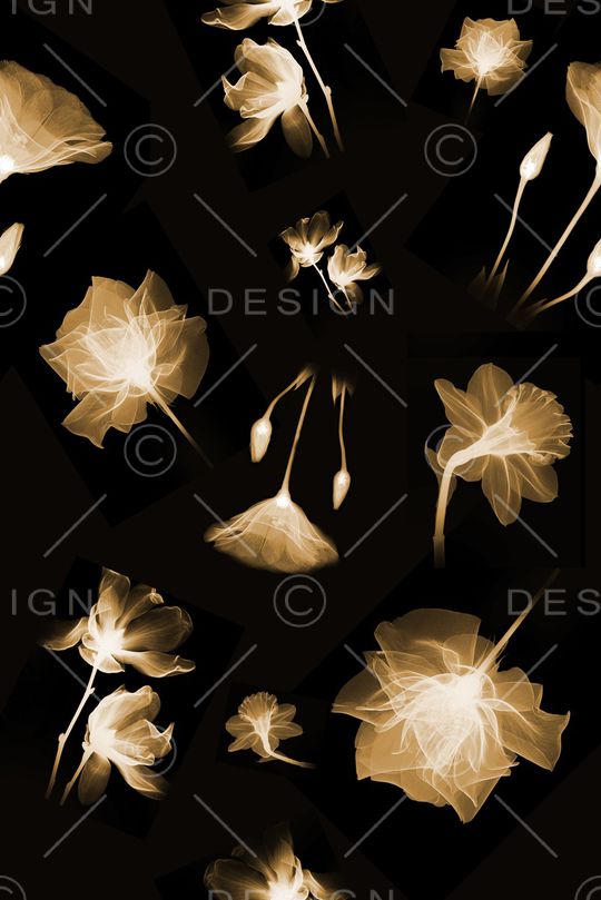 乱花印花华亿平台图片