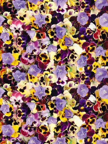 花朵印花华亿平台图片