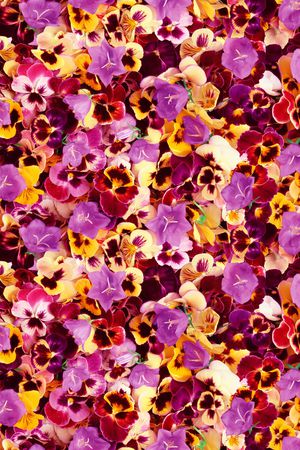 花朵印花华亿平台图片