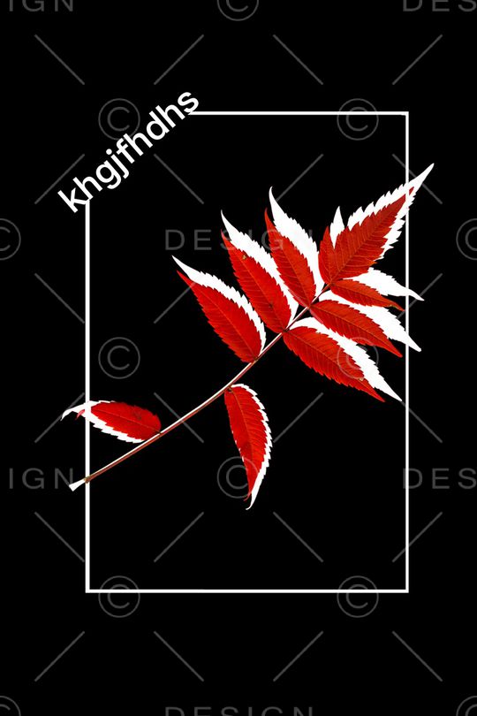 英文印花华亿平台图片