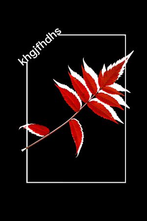 英文印花华亿平台图片