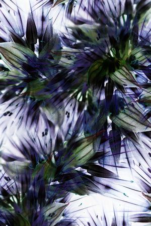 数码印花印花华亿平台图片