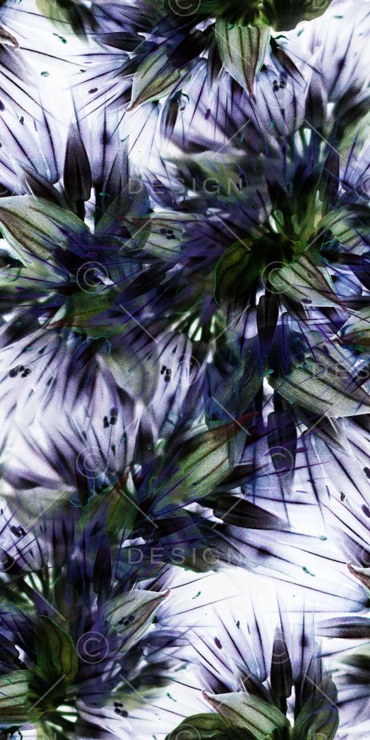 数码印花印花华亿平台图片