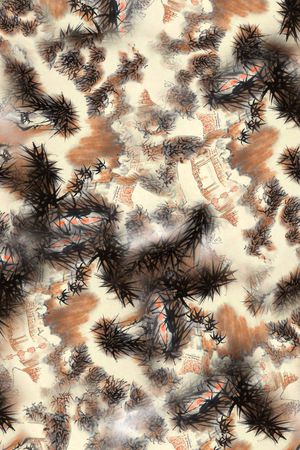 数码印花印花华亿平台图片