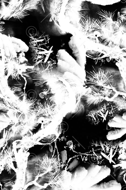 黑白印花华亿平台图片