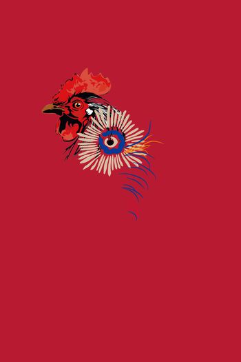 鸡印花华亿平台图片