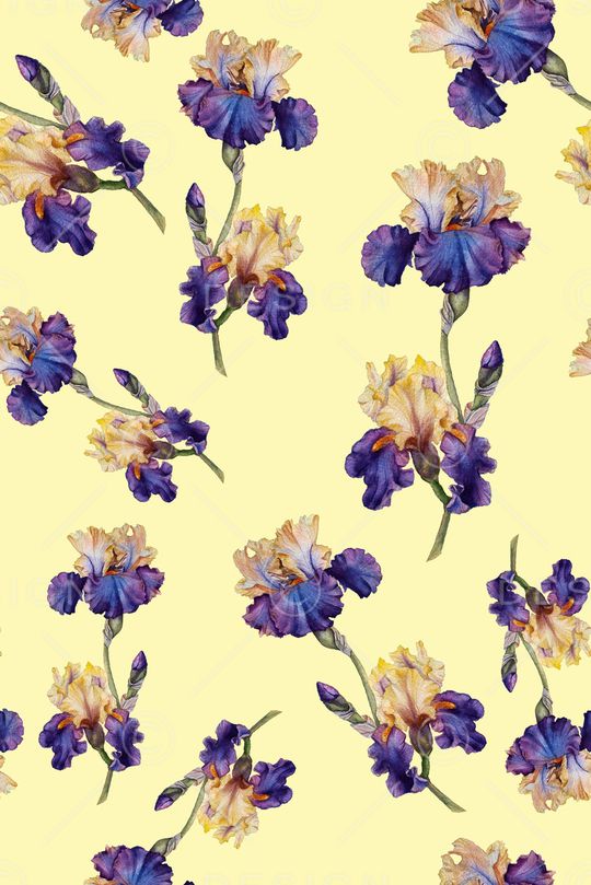 天堂花印花华亿平台图片