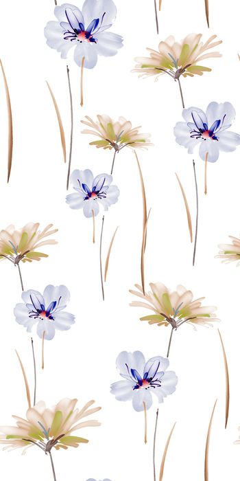 778641-20170205-9S-2