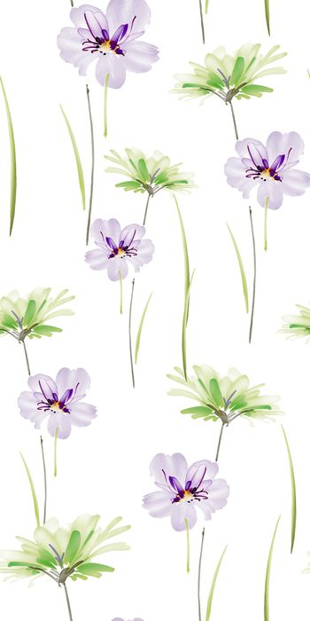 778642-20170205-9S-3