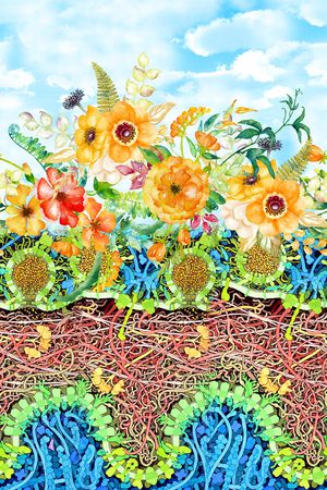 时尚印花华亿平台图片