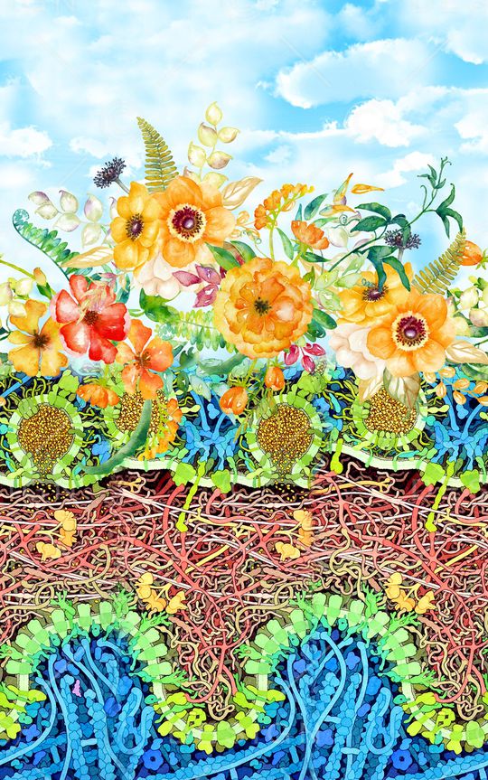 时尚印花华亿平台图片