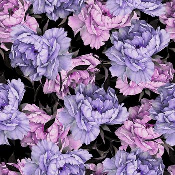 779114-牡丹花—紫