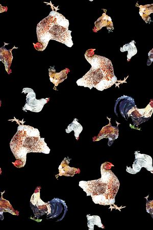 动物印花华亿平台图片