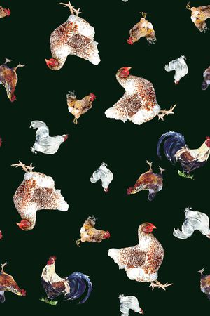 动物印花华亿平台图片