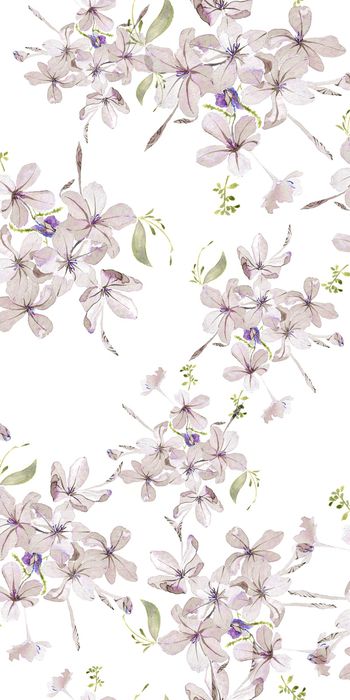 779519-20170207-19S-1