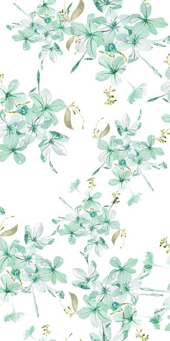 779520-20170207-19S-2